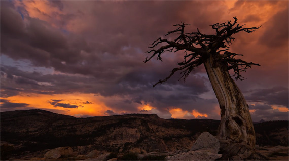 time lapse light