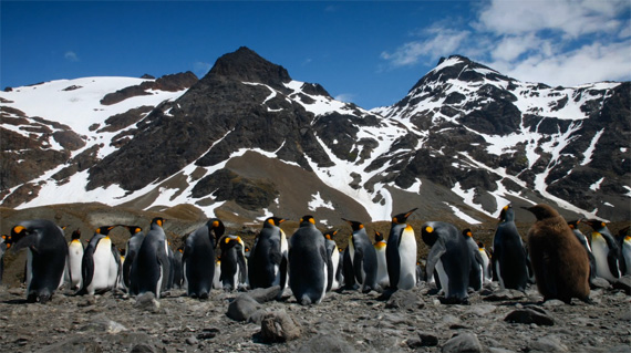 time-lapse from seven continents