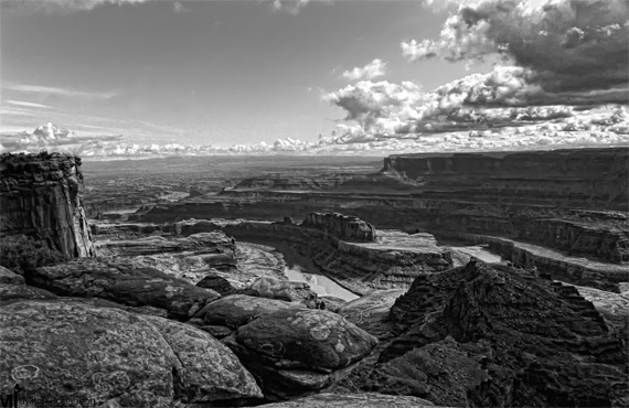 black and white landscape picture