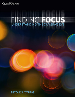 finding focus book