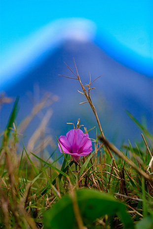 photo-depth-field depth of field