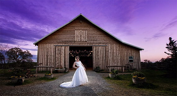 wedding photography business