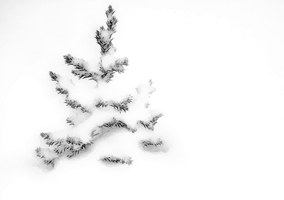 photography-tips-for-snowscenes-1