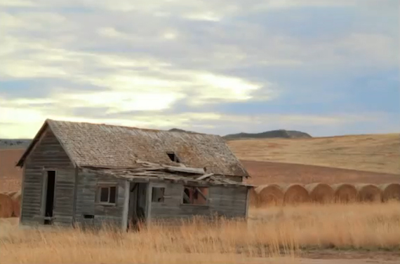 old barn in field