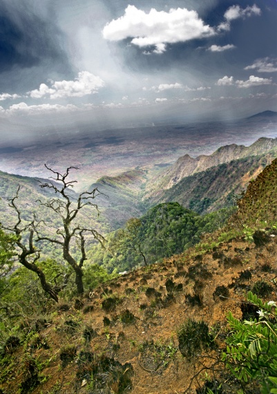 spot-metering-for-hdr-3
