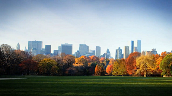 seasonal fall photography