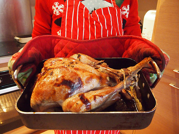 christmas turkey