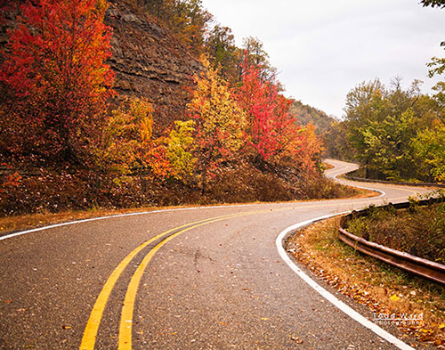 "Winding Road" captured by Todd Ward. (Click image to see more from Todd Ward.)