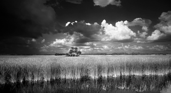 Florida landscape photography