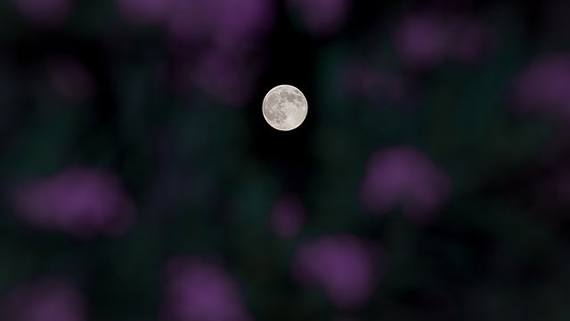 shallow depth of field moon photo