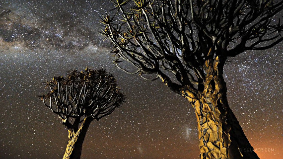 night sky time lapse