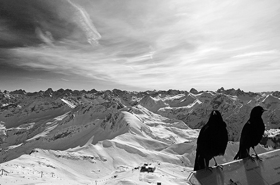 black and white winter photo