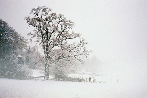 snow scene photography