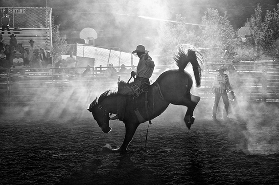 photographing a rodeo