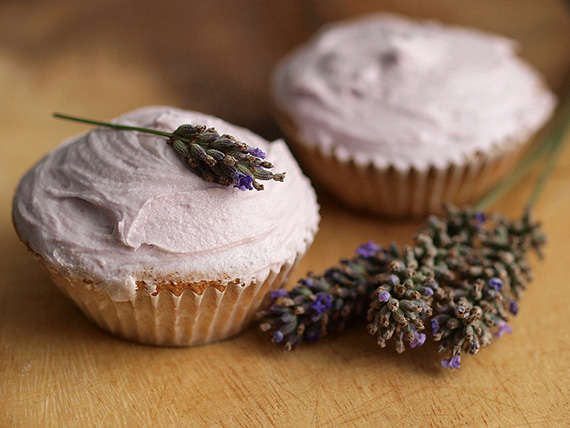 lavender cupcakes window light