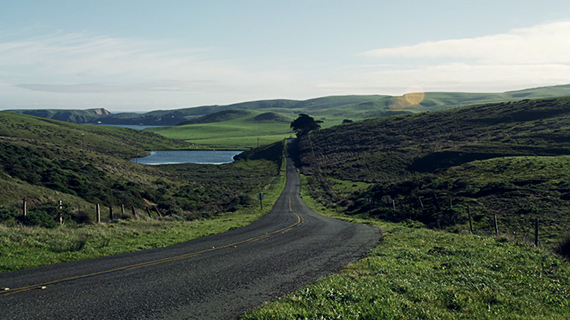 lush green point reyes landscape