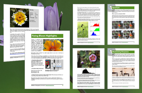 pages from flower photography guide