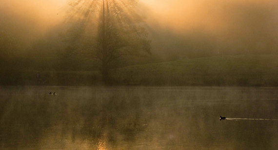 foggy park