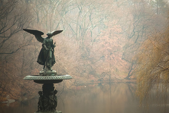 central park photography