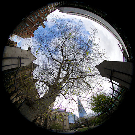 "Southwark Cathedral" captured by Aurelien Guichard using a EF 8-15mm f/4L Fisheye USM.