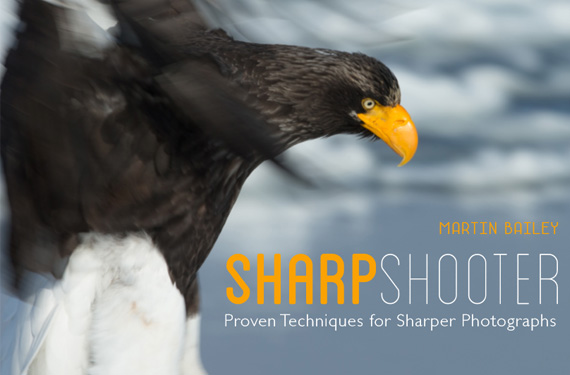 sharp shooter ebook