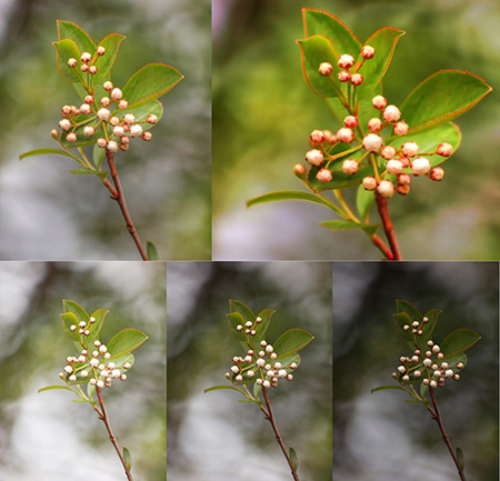 In the photo above you can see the difference between an under-exposed, a properly exposed, and an overexposed image. "Progression of an HDR" captured by Jim Bauer on Flickr.