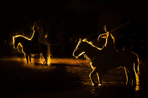 "Horse & Rider Waiting in the Spotllight" captured by Jaap Coorens (Click image to see more from Coorens)