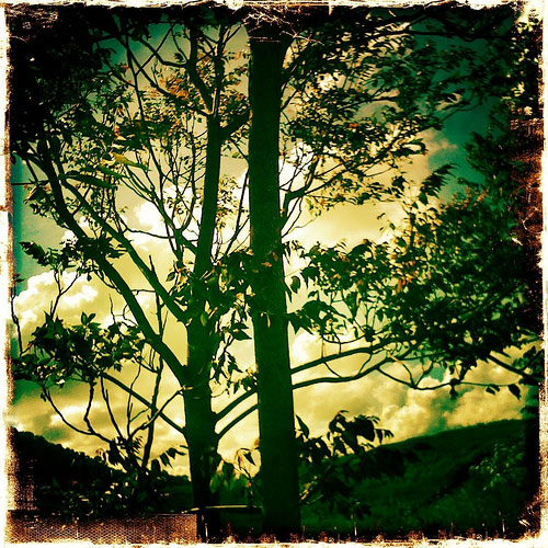 "Sunset" captured by Mariano Luchini using Hipstamatic (Click image to see more from Luchini)