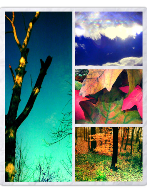 "Nature Photogrid" captured by Nakeva Corothers and processed using PhotoGrid (Click image to see more from Corothers)