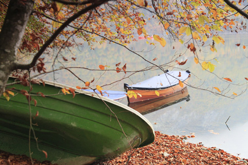 autumn leaves and boats