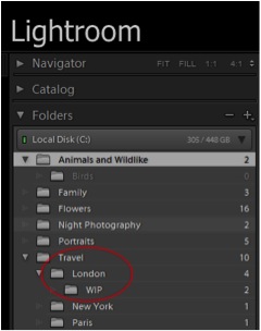 subject-based photo organization lightroom