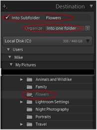 photo organization in lightroom