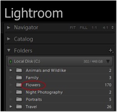 adding folders in lightroom