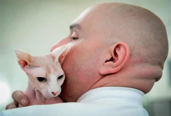 portraiture photography devon rex cat 