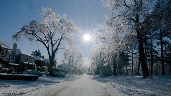 snowy landscape photography