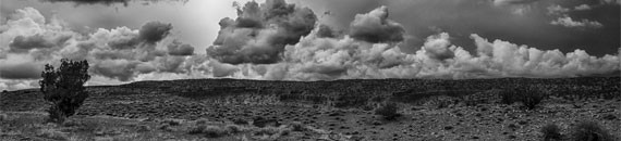 10 Tips to Improve Your Black & White Photography