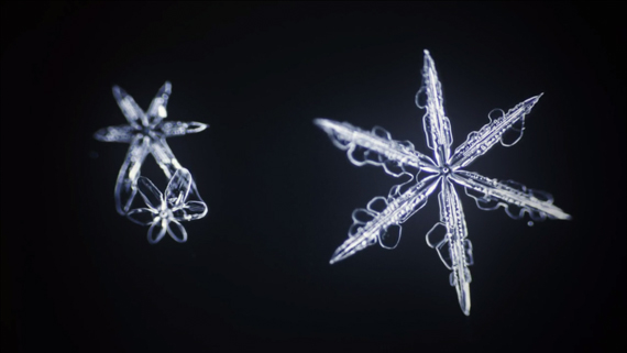 snowflake-timelapse