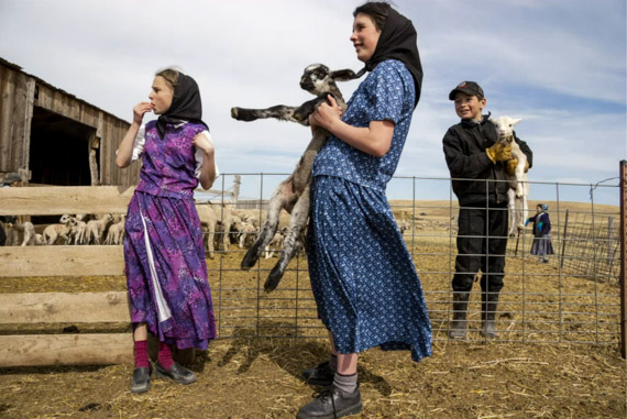 girls-with-goats