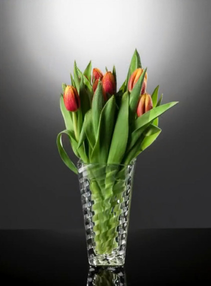 tulips-2