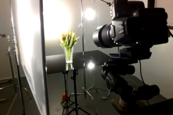 tulips-setup-3