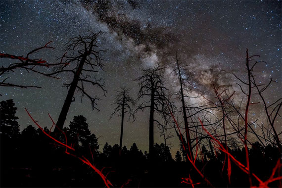 arizona-night-photography