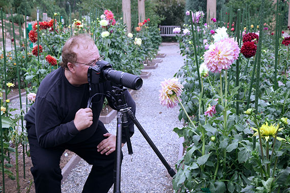 macro-photography-tripod