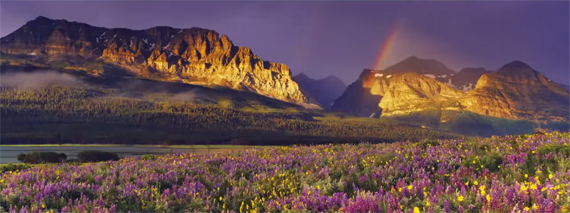 florian schulz nature wildlife animal landscape outdoor mountains wildflowers rainbow