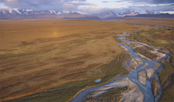 aerial river valley field visions of the wild