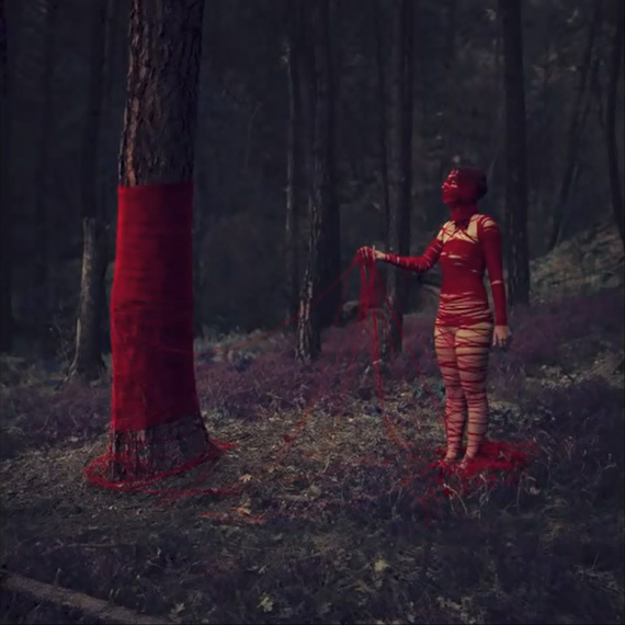 forest-yarn-portrait-shaden