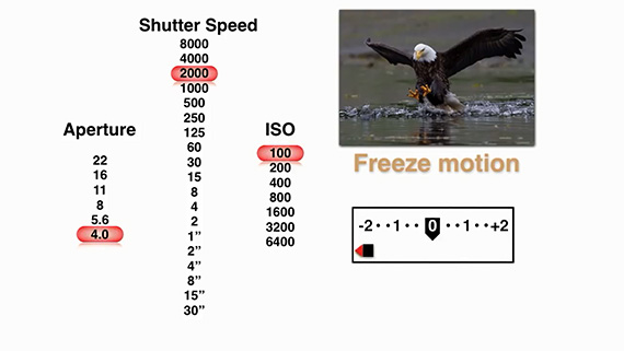 camera-settings-for-freezing-action