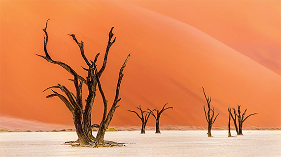 african landscape photo