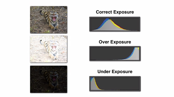 histogram-exposure-reading