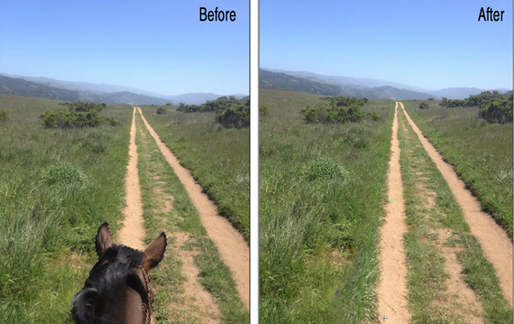 The Vanishing Point Tool quickly and accurately replaced the dirt road.