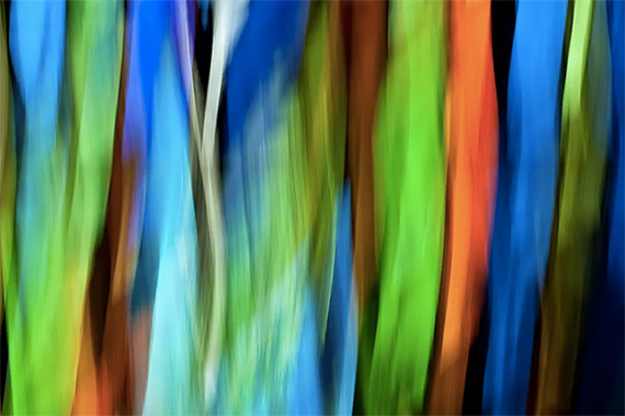 move-camera-for-abstract-photos